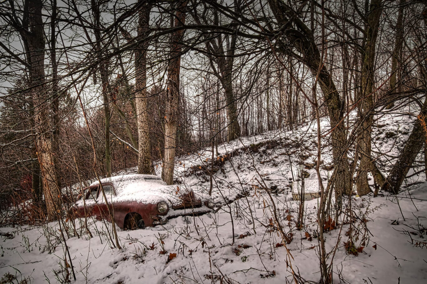 Forlorn