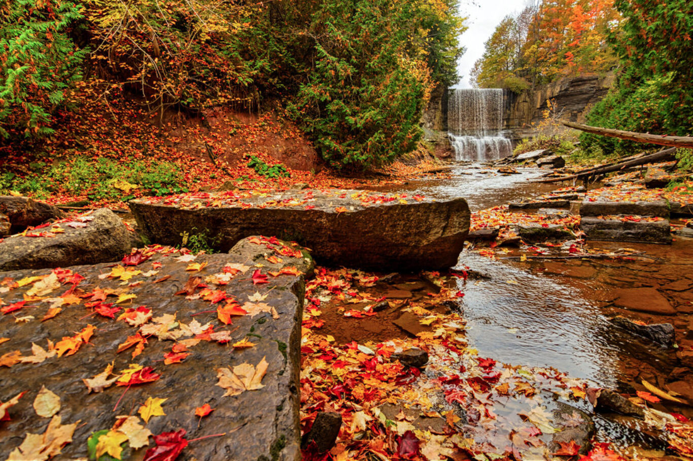 Indian Falls, Owen Sound