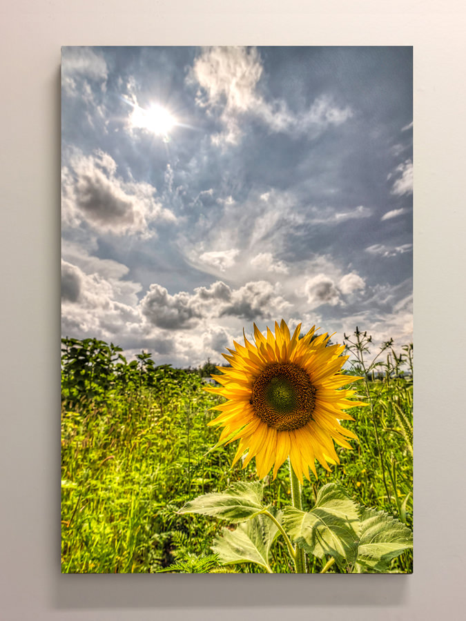 Capricious Summer