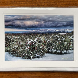 Greeting Card (Seasons Crossing)