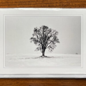 Greeting Card (Stillness)