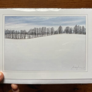 Greeting Cards - Curve Appeal