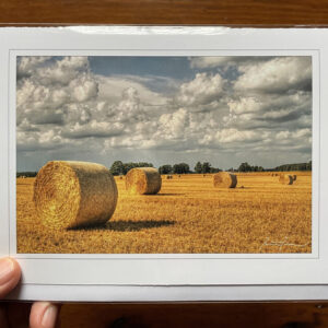 Greeting Cards - Hay Bales