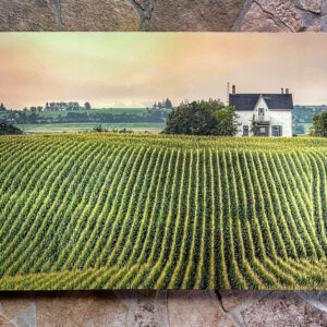 Homestead 24x36