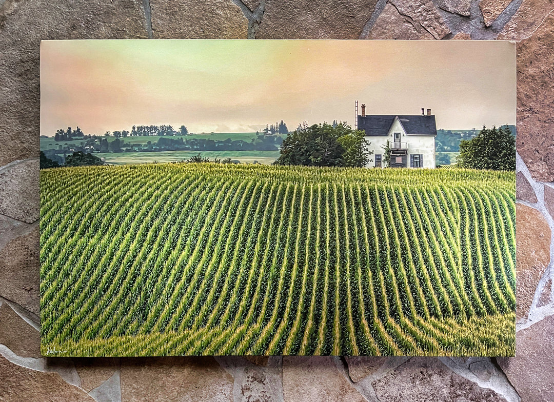 Homestead 24x36