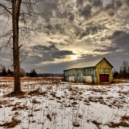In The Twilight
