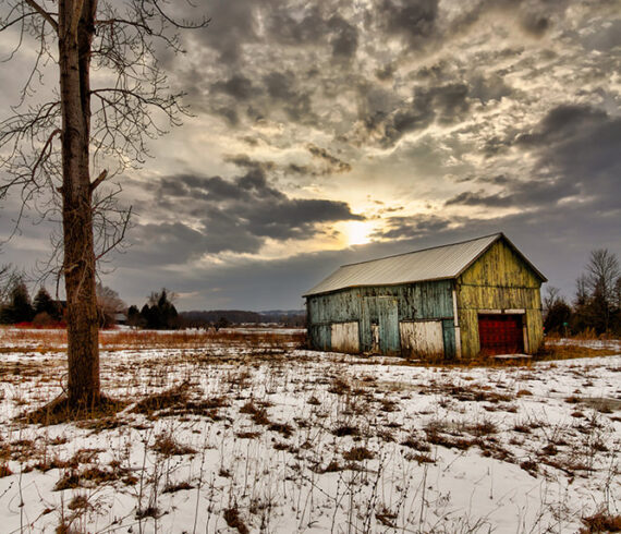 In The Twilight
