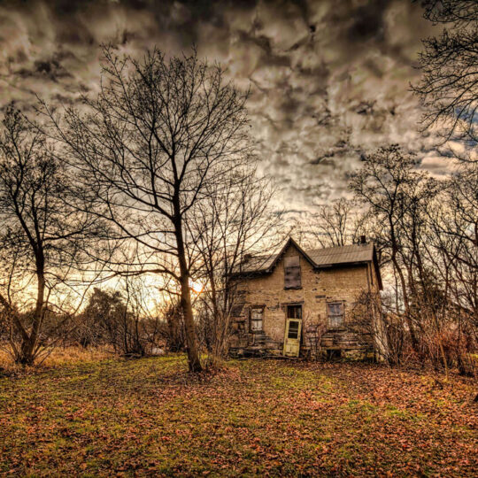 Lucid Dream