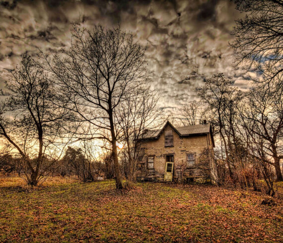 Lucid Dream