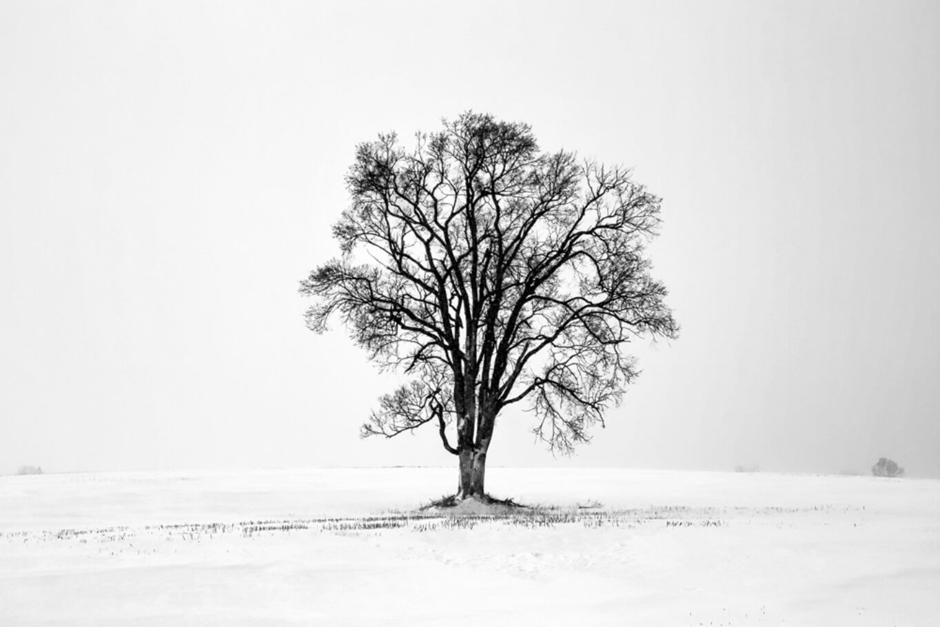 Stillness