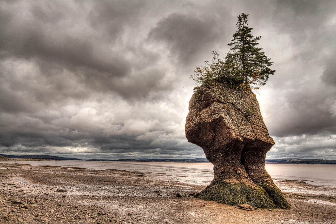 Hopewell Rocks Park, New Brunswick, Canada