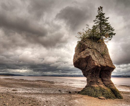 Hopewell Rocks Park, New Brunswick, Canada