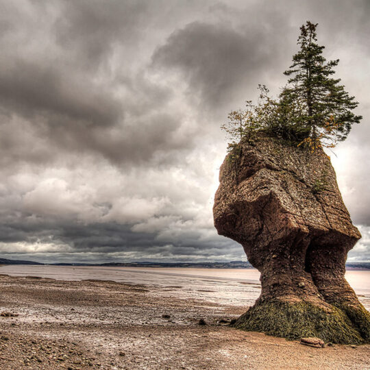 Hopewell Rocks Park, New Brunswick, Canada