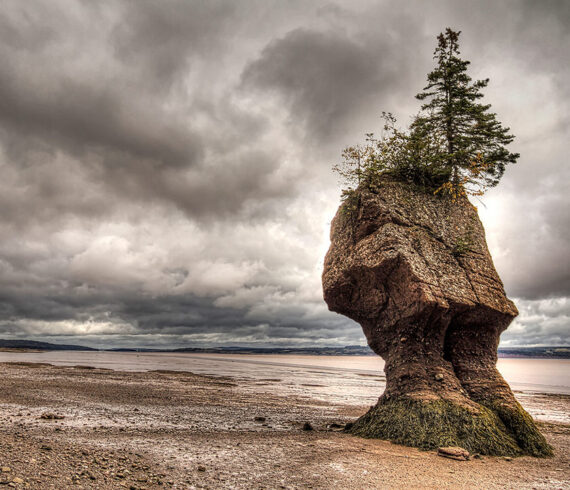 Hopewell Rocks Park, New Brunswick, Canada