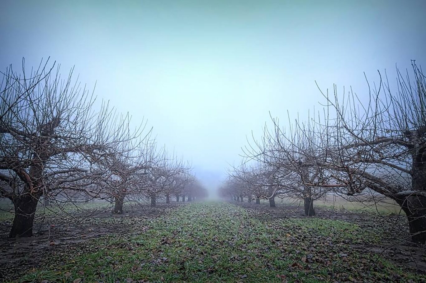 Winter Solstice