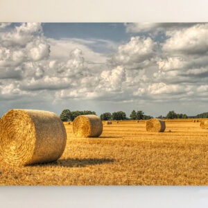 Hay Bales