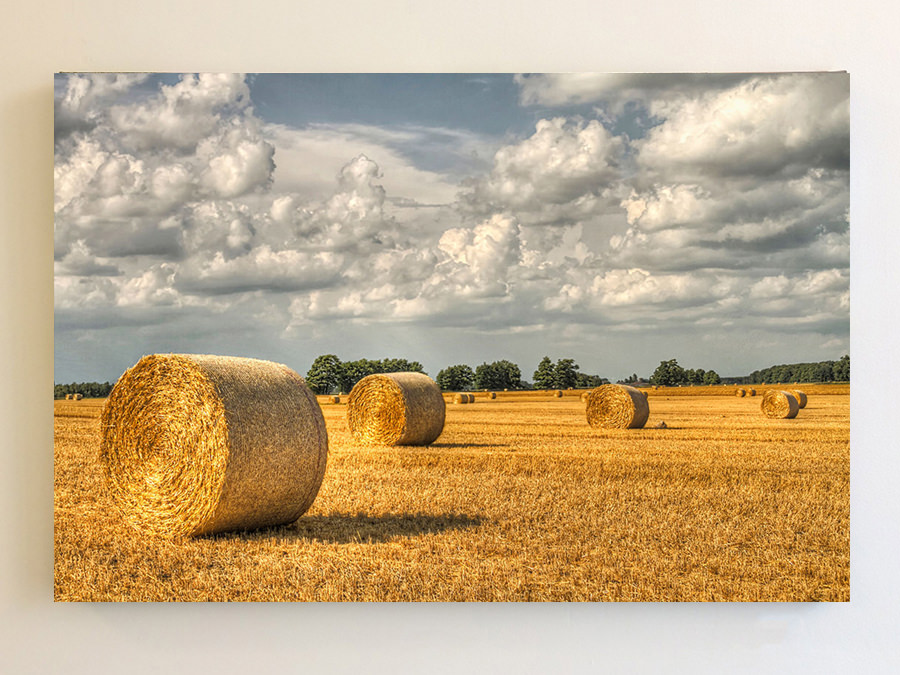 Hay Bales