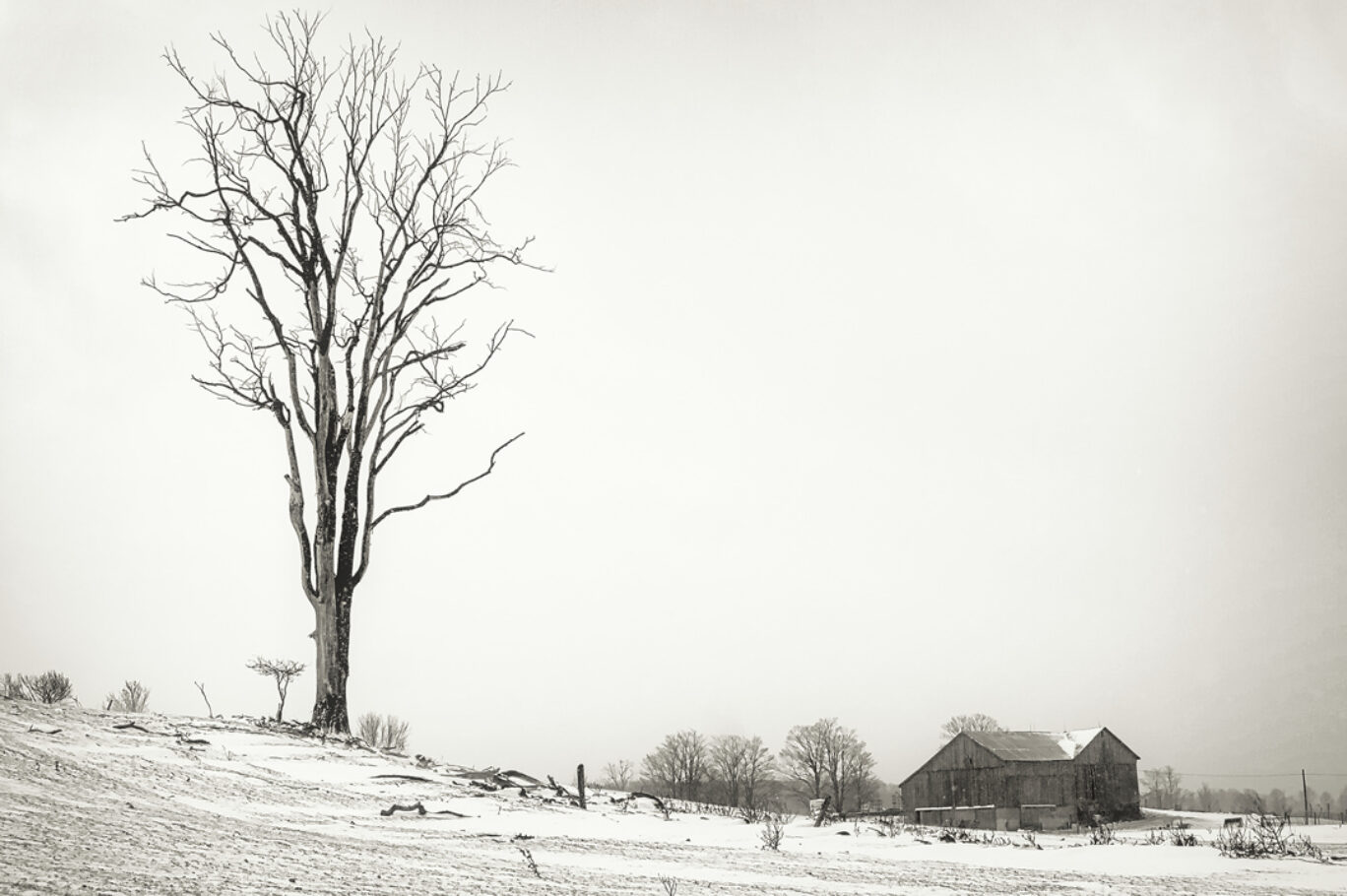 Winter 2017