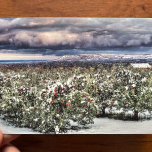 seasons crossing postcads