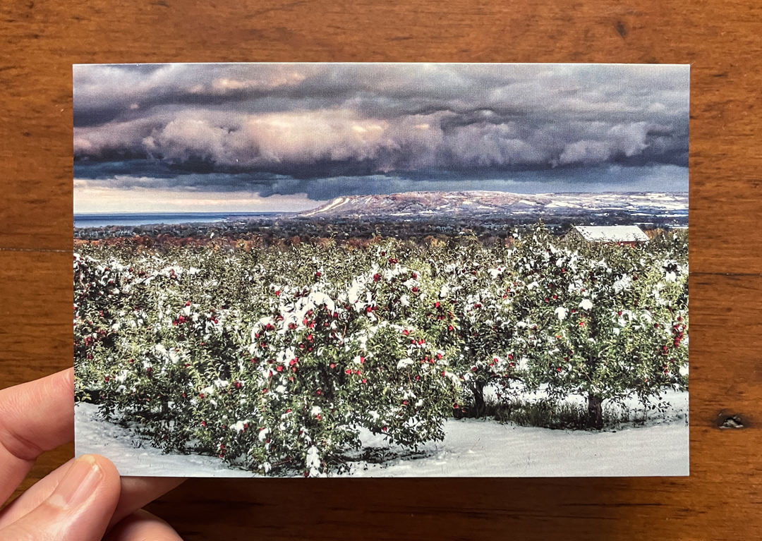 seasons crossing postcads