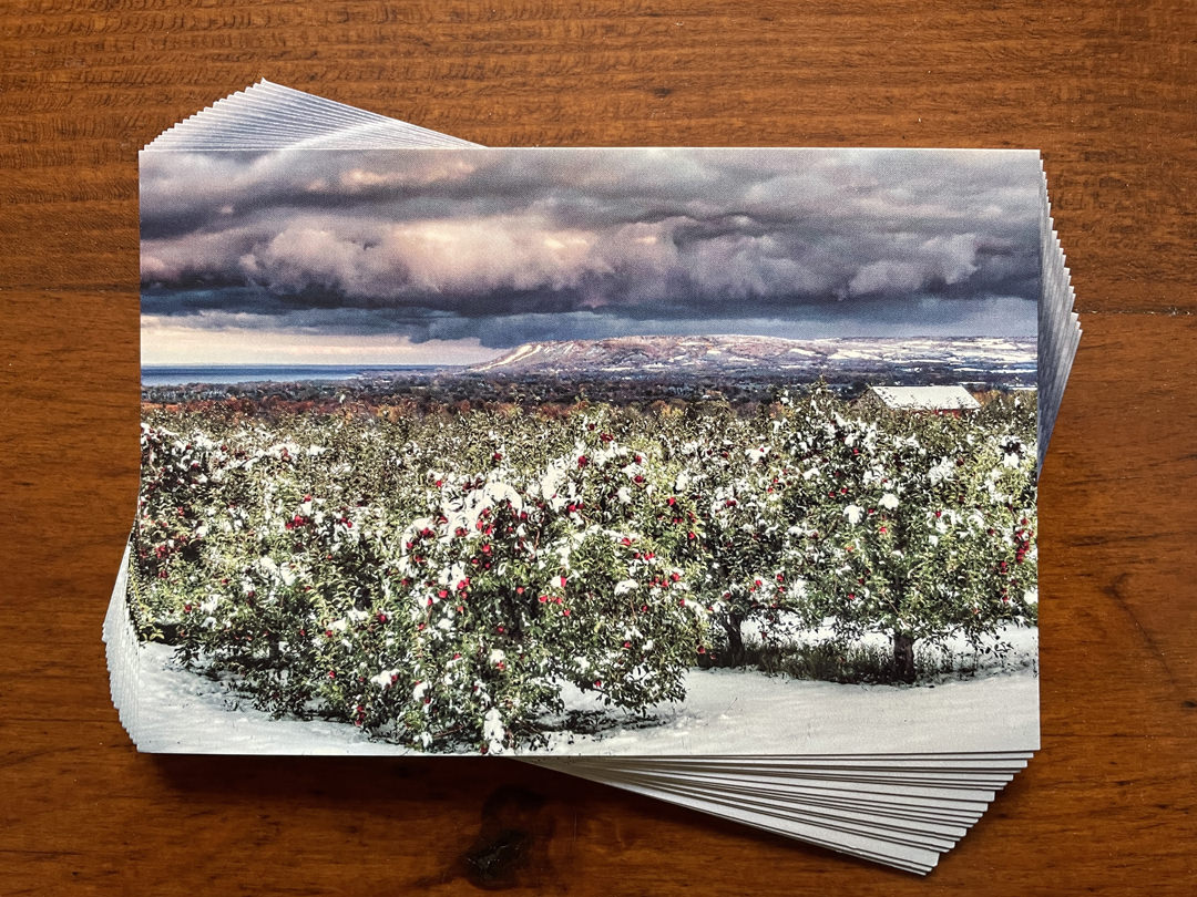 seasons crossing postcads